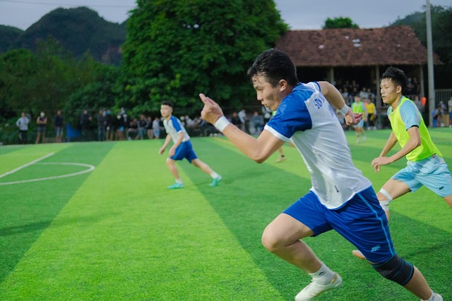 合同和种种